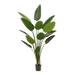 Primrue 2 - Piece 75" Artificial Banana Leaf Tree in Pot Liner Set Plastic | 75 H x 20 W x 10 D in | Wayfair 8E2E8D8AFA5843629B92BE1B1EA7EC43