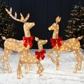The Holiday Aisle® 4Ft 3-Piece Lighted 2D Christmas Deer Set Outdoor Yard Decoration W/175 LED Lights, Stakes - White, in Yellow | Wayfair