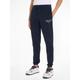 Jogginghose TOMMY JEANS "TJM SLIM ENTRY GRAPHIC SWEATPANT" Gr. M, N-Gr, blau (dark night navy) Herren Hosen Jogginghosen