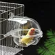 Grande baignoire transparente pour perroquet douche externe fournitures pour oiseaux pieuvre