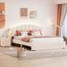 Teddy Fleece Queen Size Beige Platform Bed w/ Tufted Nightstand Upholstered Bed & 1 Big Drawers Storage Bed No Box Spring Needed
