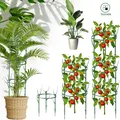 Poteau de support de plante en plastique pour branches d'arbre partenaires de soutien plante de