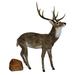 Queens of Christmas Figurines & Collectibles in Brown | 67.3 H x 15.8 W x 54.3 D in | Wayfair AMTRN-BL-20-ADR-NAT