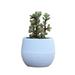 OUNONA Mini Round Resin Flower Pot Solid Color Planter Home Office Decor for Succulents Cactus (White)