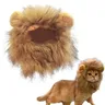 Gatto leone criniera leone Costume per cane leone Costume per piccoli gatti e gattini-ideale per