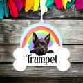Personalised Scottish Terrier Rainbow Bauble