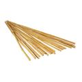 Arlmont & Co. Senetra Bamboo Plant & Flower Garden Stake Bamboo | 0.2 H x 0.2 W x 47 D in | Wayfair D96EB59AAC124CF59483891CA8A96FF4