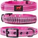 Heavy Duty Dog Collar with Handle | Ballistic Nylon Heavy Duty Collar | Padded Reflective Dog Collar with Adjustable Stainless Steel Hardware | Convenient Sizing for All Breeds