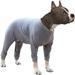 Size XS to 3XL 2 Colors Dog Onesie Long Sleeve Full Cover Pet Pajamas Dog Plaid Shirt Lightweight Dog Jumpsuit Grey 3X-Large