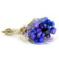 National Tree Company 16 Dried Blue Capeblumen Flowers Bouquet