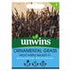 Unwins Ornamental Grass Millet Purple Majesty F1