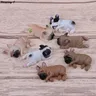 Bulldog francese Sleepy Corgis Dog Toys Action Figures Landscape Decor animali bambole regali per