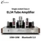 El34 amplificatore per tubi A vuoto classe A amplificatore Audio hi-fi ad alta potenza 10W Bluetooth