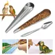 Bird Feeding Spoon Pet Bird Parrot Bird Cage Add Food Spoon Stainless Steel Feede Bird Food Spoon