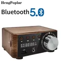 Mini Audio HiFi Bluetooth 5.0 Power Class D amplificatore Tpa3116 amplificatore digitale 50W * 2 Home Audio Car Marine USB/AUX IN