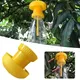 Fruit Fly Traps Reusable Plastic Bottle Top Trap Fly Catcher Pest Insect Control for Indoor and