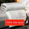 Mulberry Silk quilt silk comforter summer cool quilt air conditioning quilt spring autumn blanket