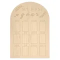 First Year Of Newborn Photo Board Prop Wooden First Year Baby Keepsake Frame One Year Milestone