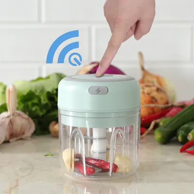 Mini Garlic Chopper Electric Food Processor Garlic Mincer Portable Processor for Chop Onion Ginger