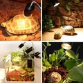 Reptile Lamp 25/50W UVA+UVB 3.0 Pet Heat Lamp Bulb Turtle Basking UV Light Bulbs Amphibians Lizards