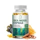 Organic Wild Irish Sea Moss Bladderwrack and Burdock Roots for Intestinal Health Energy and Immune