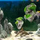 New Floating Rock Suspended Artificial Stone Aquarium Decor Fish Tank Decoration Floating Pumice