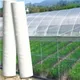 60/80/100Mesh Gardening Net Insect Net Bird Net Mist Net Nylon Net Protection Net Greenhouse Fruit