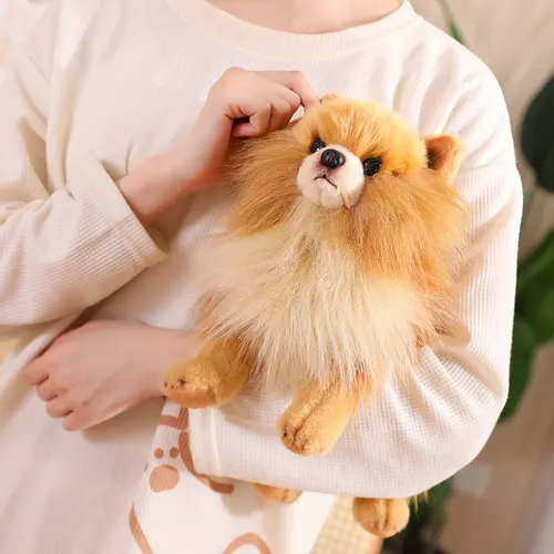 Niedliche pommersche Welpen spielzeug Hund Stofftier Modell realistische Hund Plüsch tier Haustier