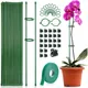 Plant Stakes Plant Support Stakes Suitable for Indoor Outdoor Plants Green Plant Stick Support