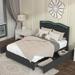 Black Full Velvet Uphostered Bed w/ Tufted Buttons Nailhead Trim LED Headboard, Platform Bed Frame with Pull-Out Storage Drawers