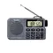 Rysamton Tragbare AM/FM Radio Digital Radio Recorder Bluetooth 5 0 Radio Lautsprecher Alarm und