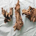 Natural Wood large driftwood Fish tank Shrimp wood Fish rest hole Fish Tank Driftwood Tree Trunk