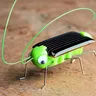 Solar-Heuschrecke Solar-Heuschrecke Roboters pielzeug wesentliche Geräte Geschenke Solars