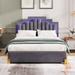 Queen Platform Bed with LED Atypical Stripes Embossed Headboard & Pull-out Storage Drawers, Gray Velvet Upholstered Bed Frame