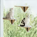 Fenster Katze Hängematte leistungs starke Saugnäpfe Katze Kratzer Brett Spielzeug Kitty Kletter