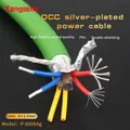 Xangsane P-6008Ag HIFI 7N OCC Silber-Überzogene Power Kabel High-Fidelity DIY Audio Kabel Groß