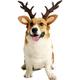 Pet Deer Costume Hat Merry Christmas Dog Antlers Headbands Elastic Band Adjustable Reindeer Cap Hair Headwear Accessories