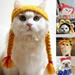 KAOU Cute Cartoon Handmade Dog Cat Hat Animal Party Costume Cap Pet Decor Accessory Red Bowknot