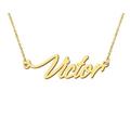 Aoloshow Victor Name Charm Necklace for Womens Gold Nameplate Jewelry Christmas Gifts