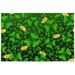 Coolnut Shamrock Coin with Lucky Clovers Jigsaw Puzzles for Adults 1000 Pieces Puzzles for Adults 29.5 x 19.7 Challenging Kids Teens Family Puzzle Game