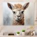 Union Rustic Beige Llama Portrait II - Animals Metal Wall Decor Metal | 24 H x 32 W x 1 D in | Wayfair EB6D2E2A3DE14E5192A67AA2B0BEC269