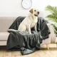 Waterproof Pet Blanket Liquid Pee Proof Dog Blanket for Sofa Bed Couch Reversible Sherpa Fleece