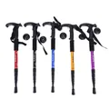 Anti Shock Nordic Walking Poles Sticks Telescopic Trekking Hiking Folding Walking Stick Canes With