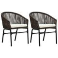 vidaXL Garden Chairs 2 pcs Brown PVC Rattan 48136