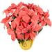 Northlight Seasonal Poinsettia Arrangement Plastic in Red/Orange/Yellow | 15 W x 15 D in | Wayfair NORTHLIGHT YS99376