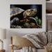 Bay Isle Home™ Closeup Turtle Portrait II - Animals Metal Wall Decor Metal in Brown | 12 H x 20 W x 1 D in | Wayfair