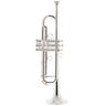 Schagerl James Morrison Trp. JM B-Stock