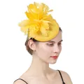 Cappello Phillbox Fascinator di piume con fermaglio per capelli elegante cerimonia di nozze per