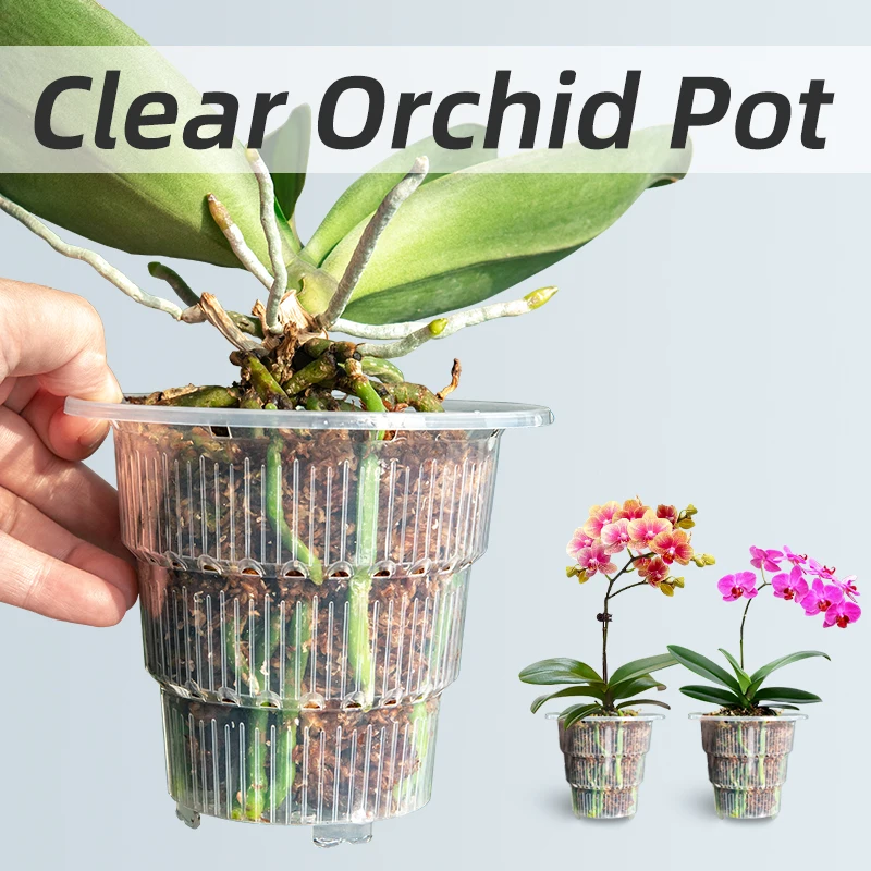 Meshpot klare Plastik Orchideen töpfe mit Löchern und Untertassen zum Umtopfen kleiner Orchideen Pflanzer Wurzel kontrolle Orchidee transparenten Topf Image