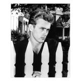 James Dean Standing Behind Fence 16X20 Lustre Print By Globe Photos 16X20